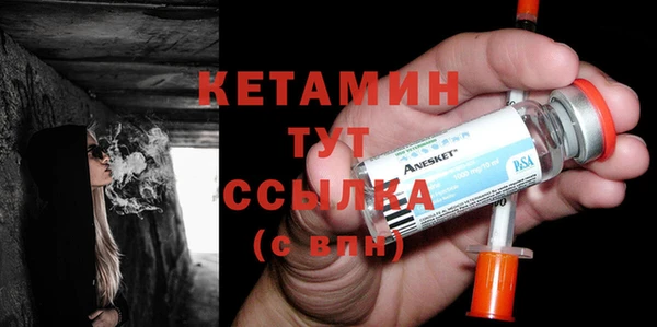 хмурый Пересвет