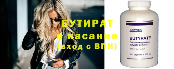 хмурый Пересвет