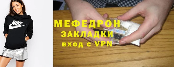 хмурый Пересвет