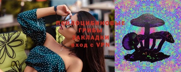 хмурый Пересвет
