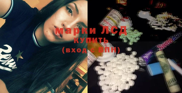 хмурый Пересвет