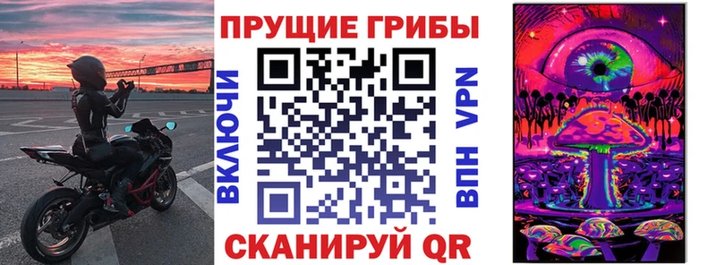 Галлюциногенные грибы Psilocybine cubensis  что такое   Артёмовский 